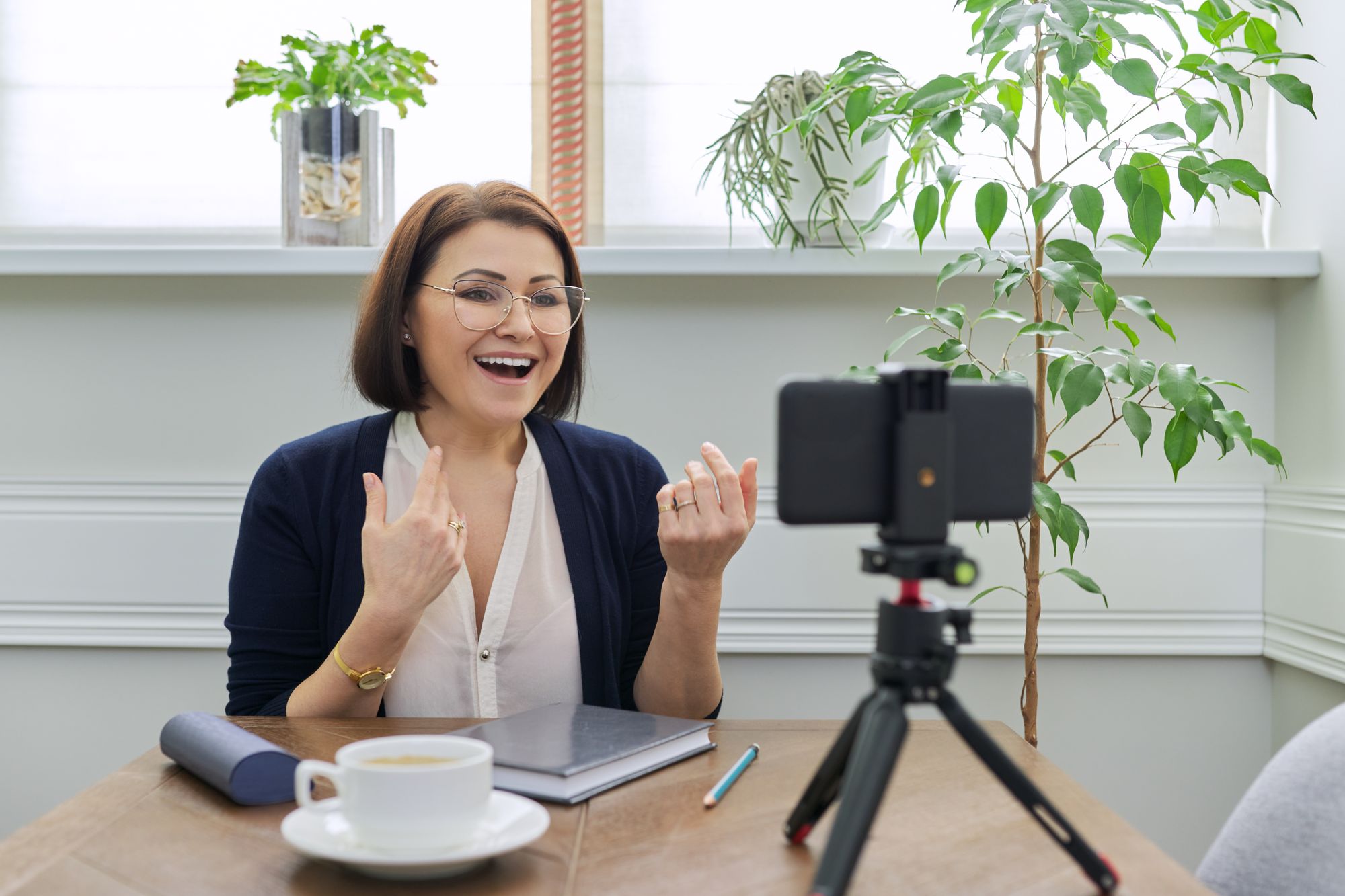 Guía sobre las Video Entrevistas: lo que necesitas saber si eres de HR